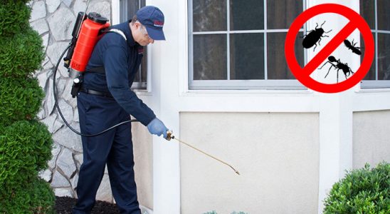 Samandağ Akrep İlaçlama böcek ilaçlama ve haşere kontrolü — ilaclama-tr.com